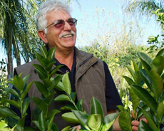 Dr. Majid Jahanbin