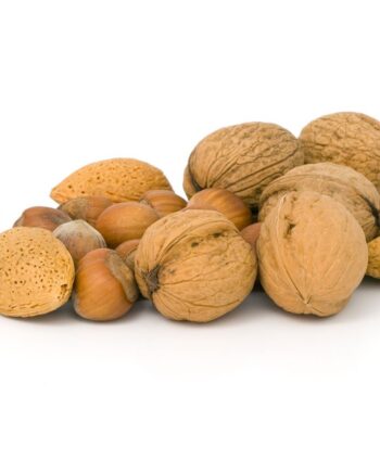 Nut Trees