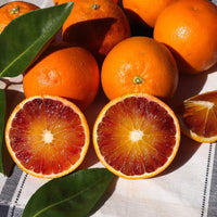 Thumbnail for Moro Blood Orange Tree