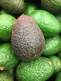 Thumbnail for hass avocado tree fruit