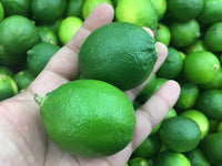 Thumbnail for Bears Lime Fruits