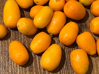Thumbnail for Kumquat Nagami