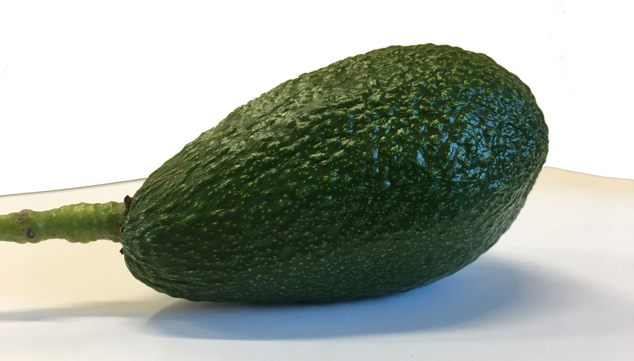Pinkerton Avocado Fruit