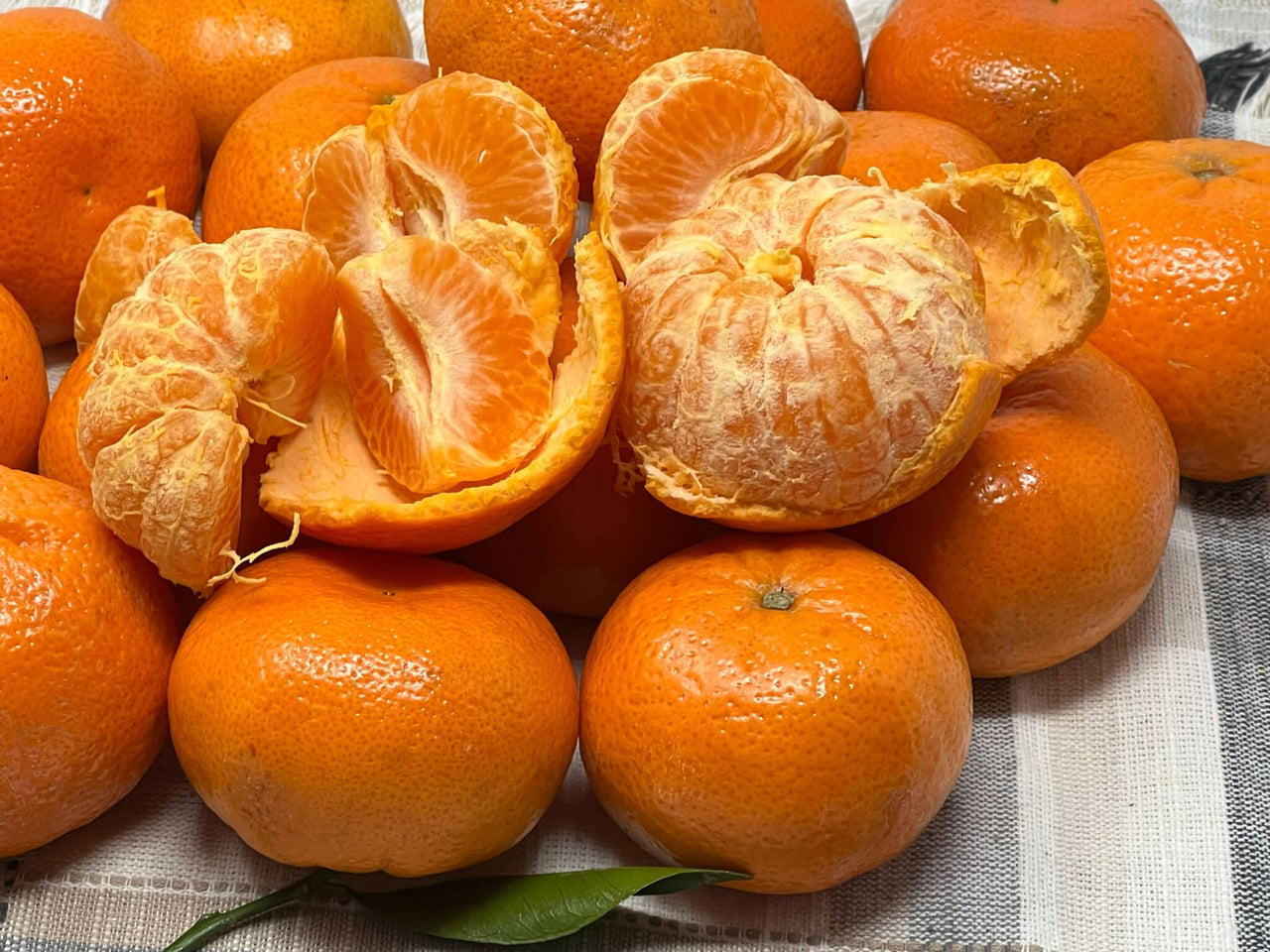 Tango-Mandarin-Fruit