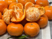 Thumbnail for Tango-Mandarin-Fruit