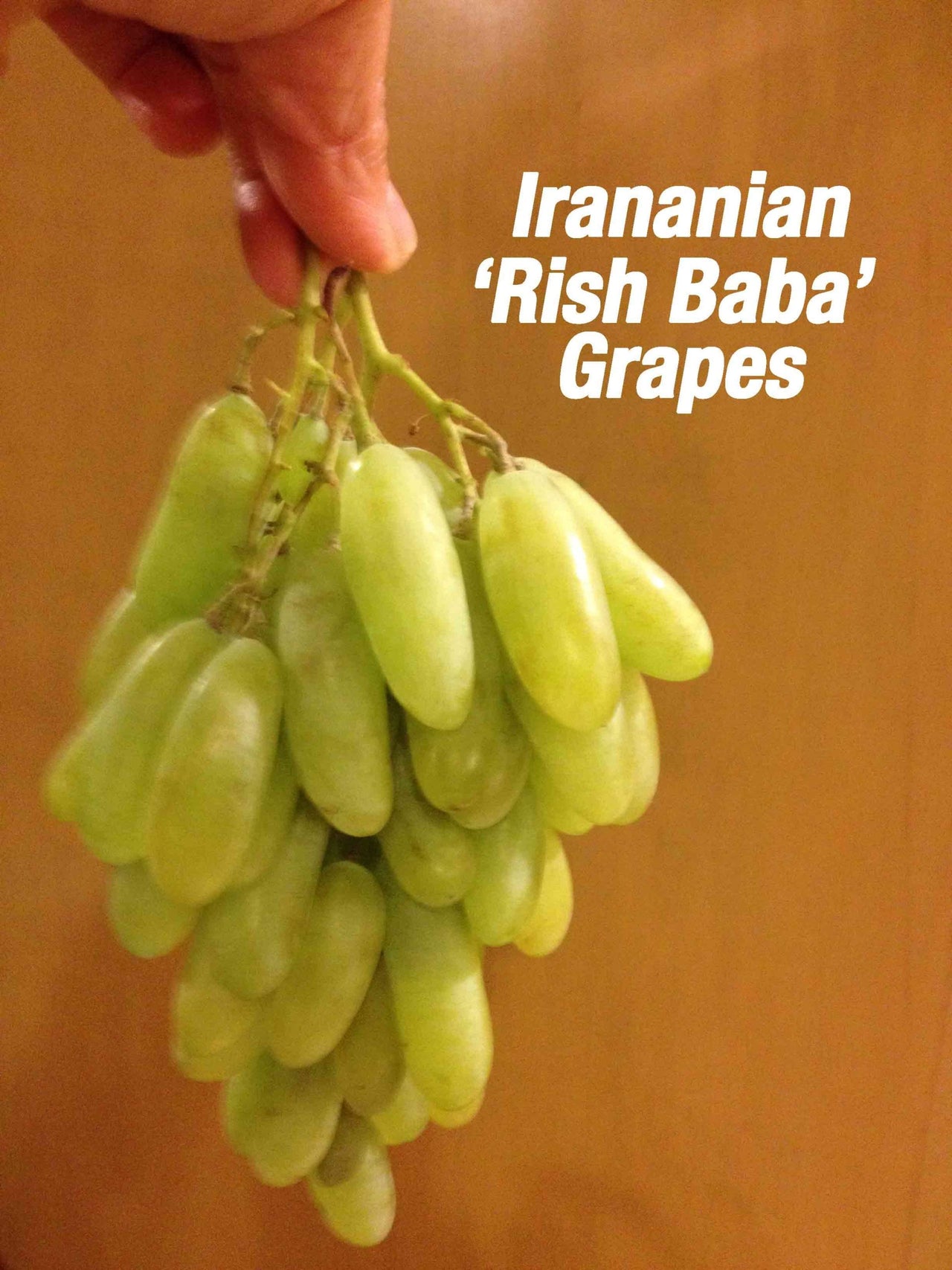 Persian Grape Rish Baba - Angoor