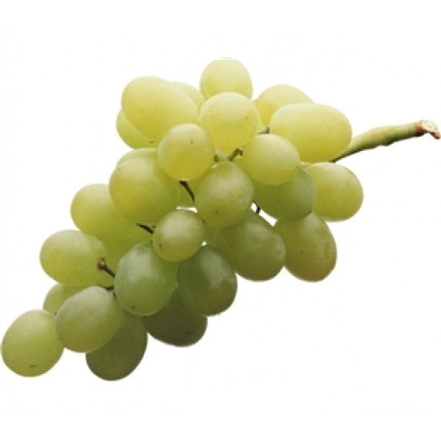 Thompson Seedless Grape