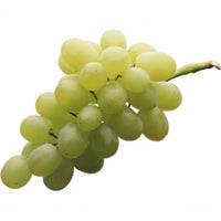 Thumbnail for Thompson Seedless Grape