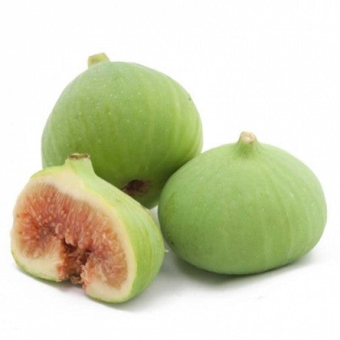 Italian Genoa Fig